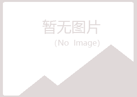 黎城县山柏培训有限公司